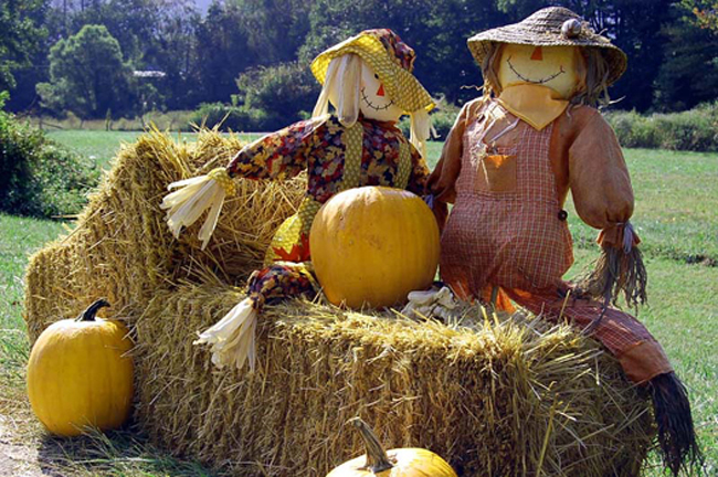 Maggie Valley Fall Decorations