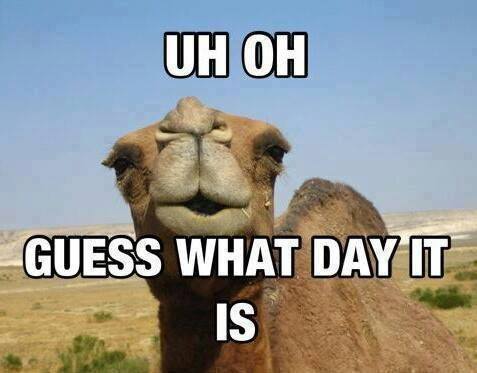 Guess What Day It Is!