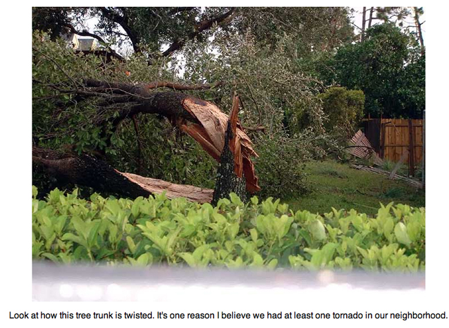 Tree trunk twisted by tornado during Hurricane Charley.