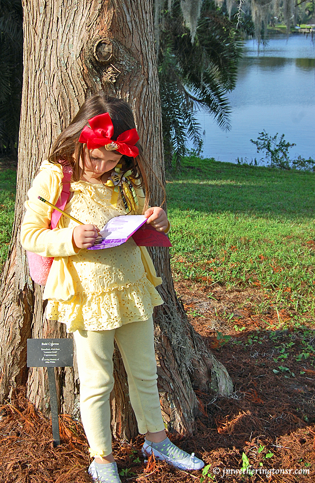 Abby sketching a flower while leaning against a lakeside tree.