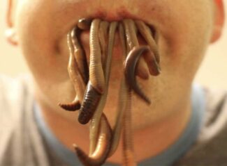 Worms coming out of a man’s mouth.