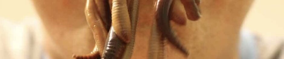 Worms coming out of a man’s mouth.
