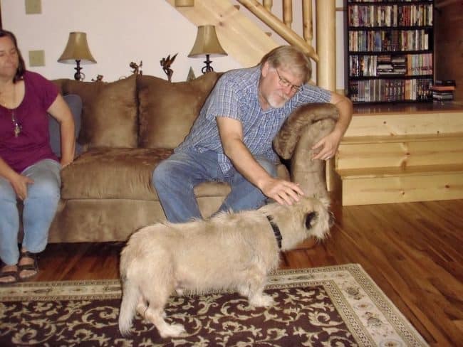 Wolf at Wolf’s Haven cabin June 2010.